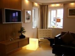 Stylish contemporary design for living/ dining room